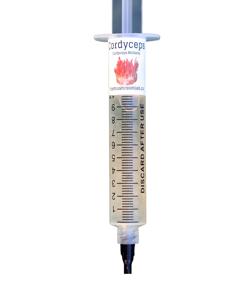 Cordyceps Liquid Culture — The Mushroom Lab