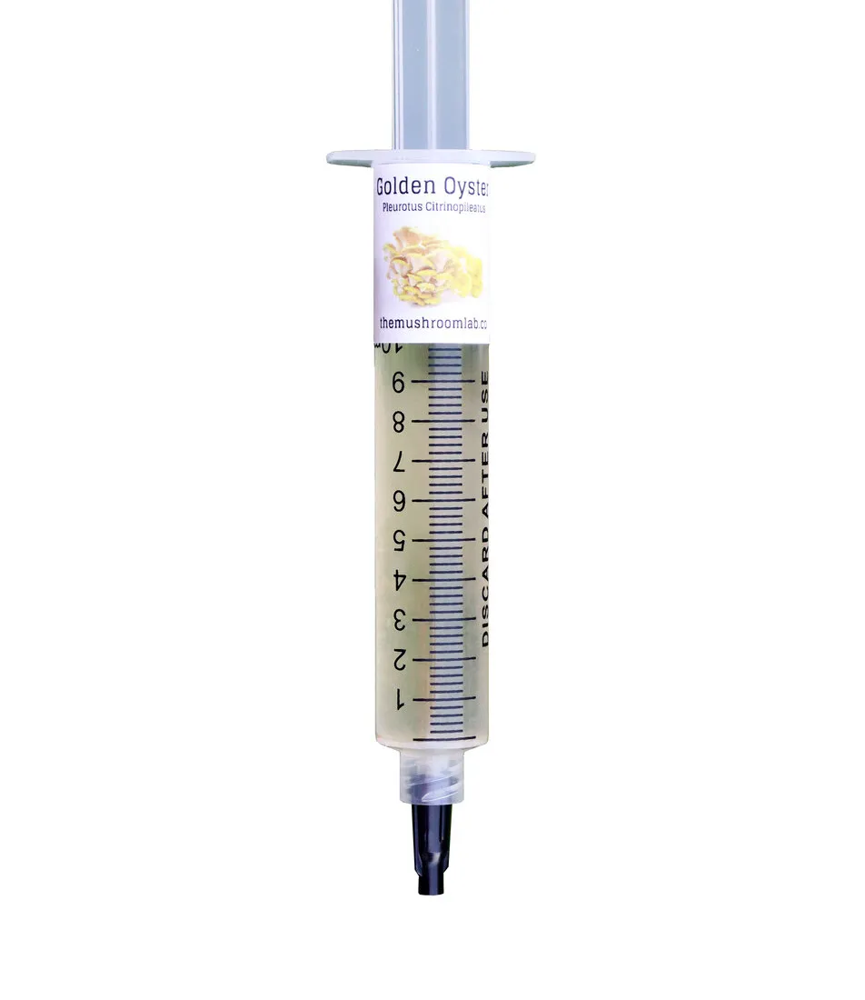 Golden Oyster Liquid Culture — The Mushroom Lab