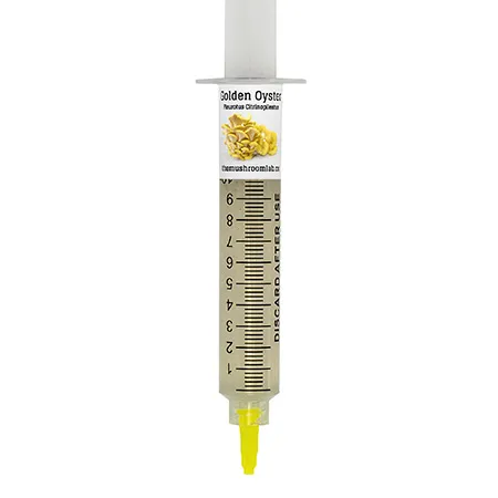 Golden Oyster Liquid Culture — The Mushroom Lab