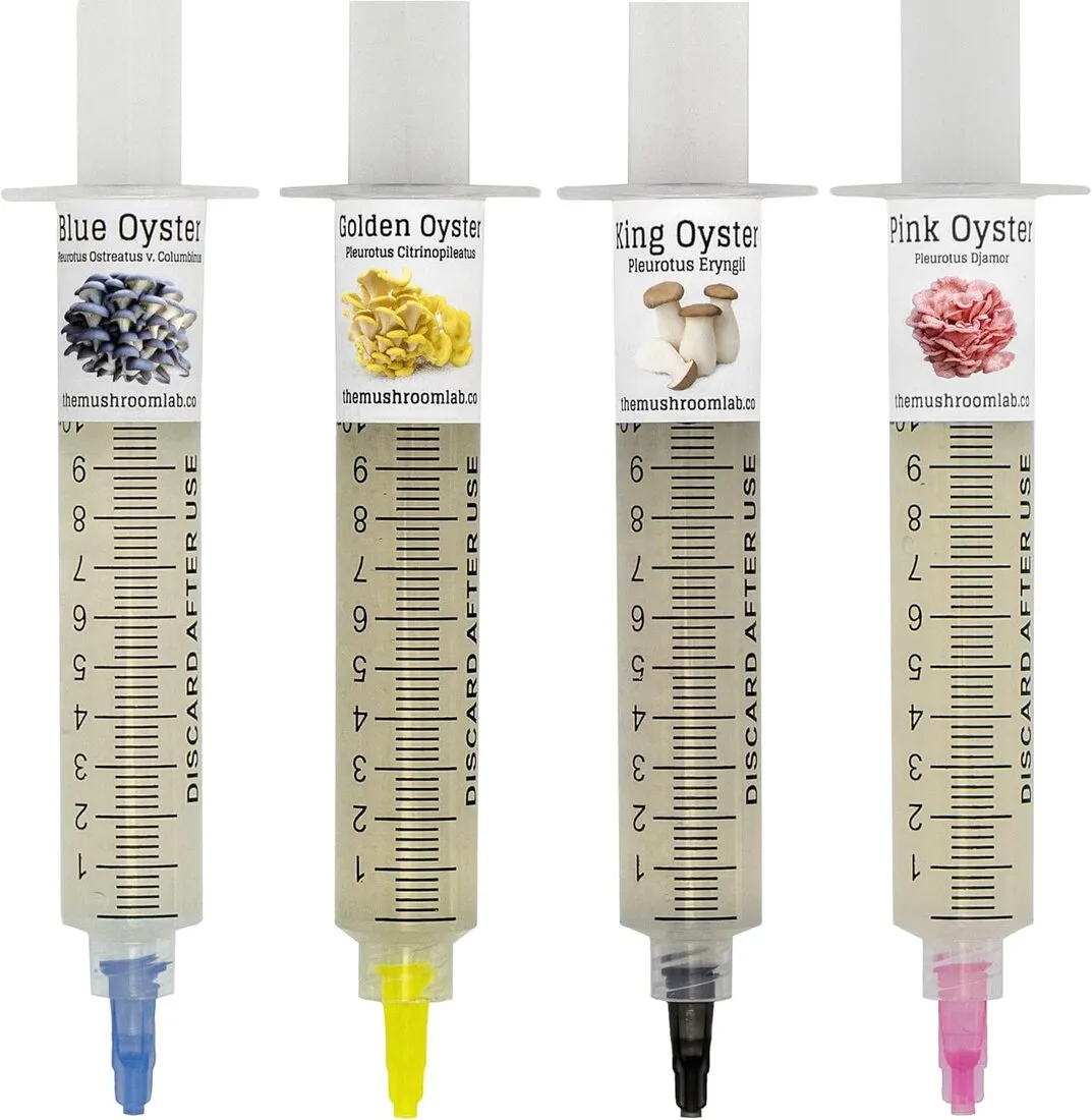 Oyster Liquid Culture Syringes — 4-Pack — The Mushroom Lab