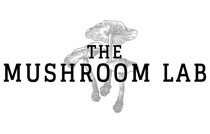 The Mushroom Lab